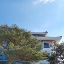소나무황토집 | 강원 속초ㅣ척산휴양온천ㅣ온천 숙박 후기, 부모님과 가기 좋은 온천