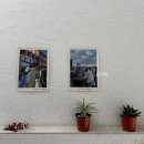 애니스 라자냐 이미지