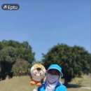 그린월드 이미지