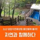 양촌 이미지
