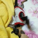 봉구PC 이미지