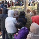 서서울농협 하나로마트 사직점 이미지