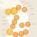 (469) 2024 봄꽃 중 개나리, 진달래, 벚꽃 개화 시기 (&#39;웨더 아이&#39;에서) 이미지