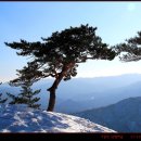 강산 이미지