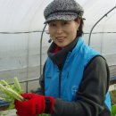 김성수농장 이미지