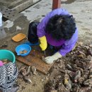 새아리랑식당 | 울릉도맛집 아리랑식당, 동네한바퀴에 나온 저동 밥집 먹물오징어전 인기