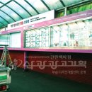 양산타이어백화점 이미지