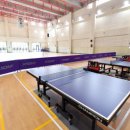 웰빙체육관 이미지