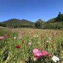 통영시 추모공원 이미지