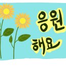 하늘다리펜션 이미지