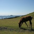 중문통나무휴양펜션 이미지