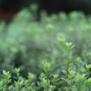 가오근린공원 이미지