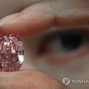 PINK HONG 이미지