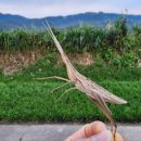 가산공원 풋살장 이미지