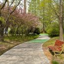 상아어린이공원 이미지