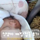 세종 다정소아과 신생아 첫 BCG 접종/2차 B형간염/1차 영유아검진 후기