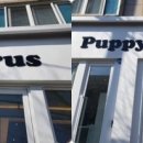 퍼피루스 이미지