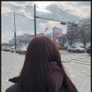 호수미용실 네이버블로그