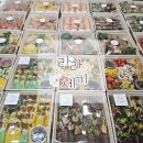 세부케이터링