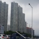 산호대로-12 이미지