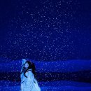 언젠家(가) | 《국보》 후기 - 볼 수 있을 때 봐야합니다.