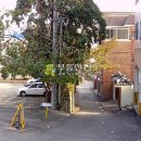 우장춘로 이미지