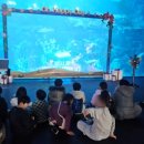 나라찬부부태권도장 이미지