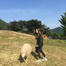 썬목장 이미지