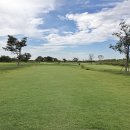 파크골프장 이미지