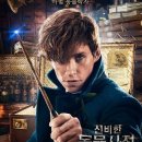 신비 스토어 몰 이미지