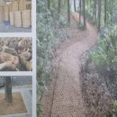 태영무역 이미지