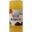 유산균 건강카페 이미지