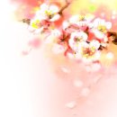 은하 민박 이미지