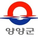 양양군청