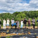 바울농장2 이미지