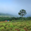 무괴아심 이미지