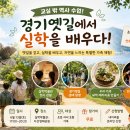 [우리들교실] 여행&인물스케치 | 경기도 아이와 가볼만한곳 추천! 실학박물관·다산생태공원 체험 행사 안내