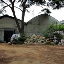 종삼농장 | 7번째 농가 검증 - 새싹삼 재배 농장 방문 및 새싹인삼 키우기 시작