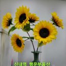 신내역공인중개사사무소 | 성원 아파트 매매, 생활 편리하고 살기 좋은 전용면적 84㎡ 아파트를 신내역 행운 부동산 에서 안내합니다.