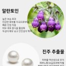 나들이화장품 이미지