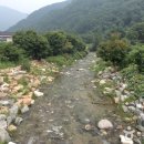 춘천Believing(빌리빙)캠핑장 | [강원도 춘천시] 춘천Believing(빌리빙)캠핑장