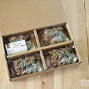 고토일청국장 | 청국장 맛있게 끓이는법/청국장 효능_ 고토일 명품대가청국장