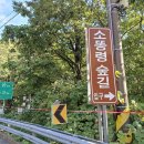 대진시외버스터미널 이미지