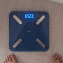 전효성다이어트 3일 급찐급빠
