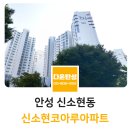 신소현코아루아파트 | 안성 탄성코트 신소현코아루 베란다코팅 시공후기