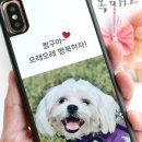 폰케이스 이미지