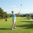 라임 골프존 | 아버님의 인생 마지막 클럽, 마제스티 서브라임 풀세트 구매