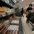 김진환농장 이미지