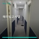 메이빌고시텔