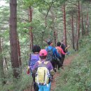 신흥사 약수터 이미지